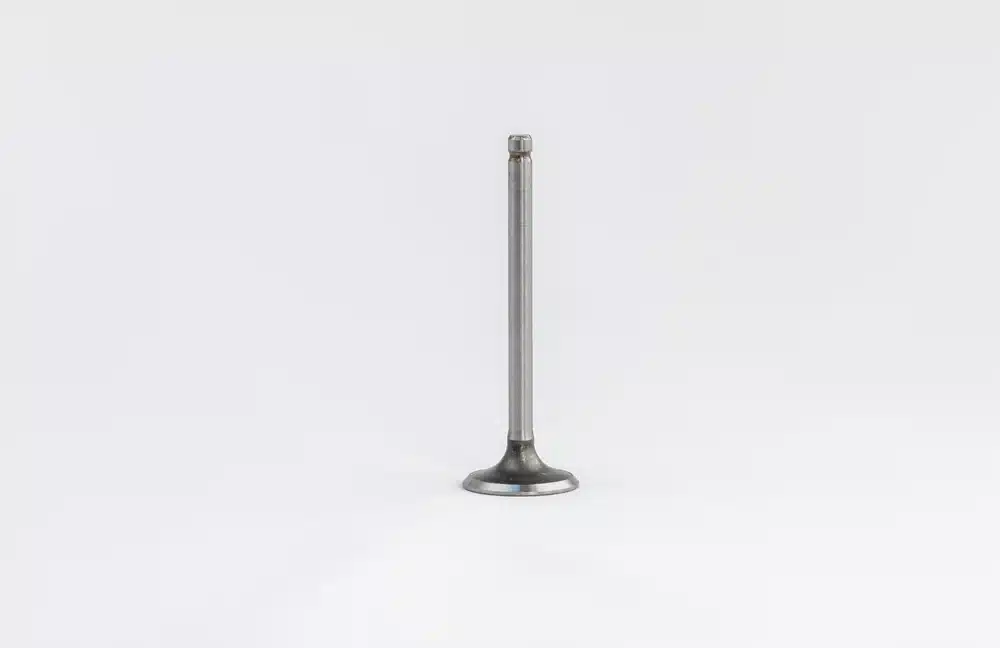 VK-4066_4.webp