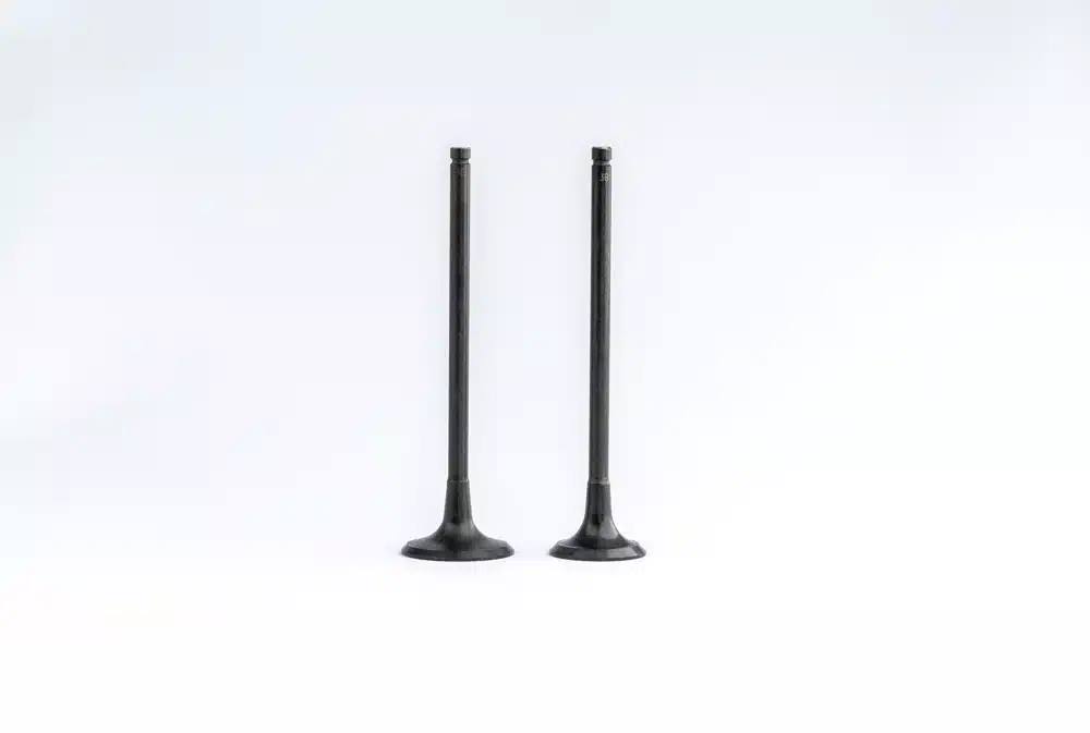 VK-4496_3.webp