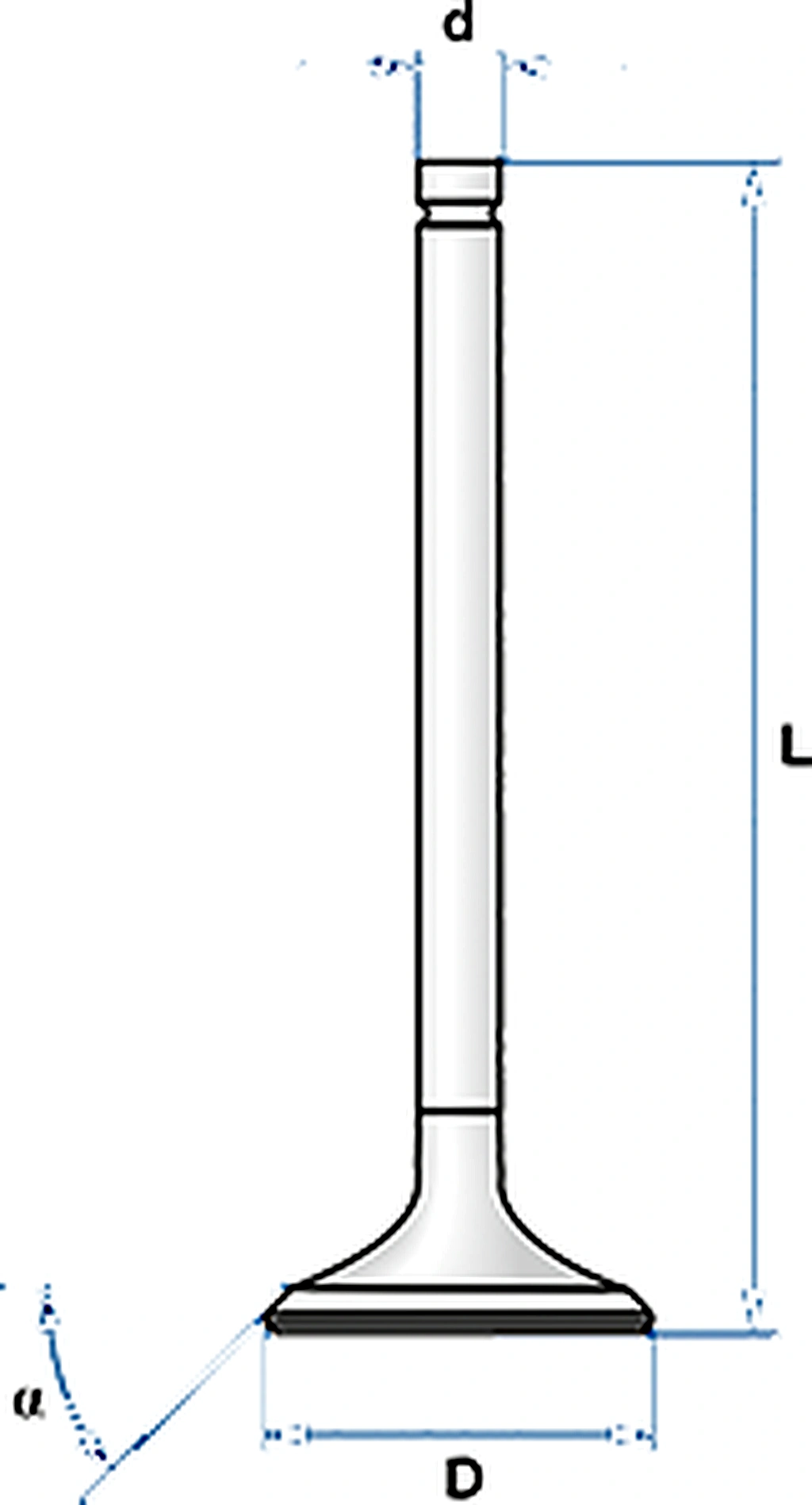 2305_33.webp