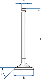 5641_33.webp