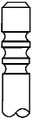 10749_55.webp
