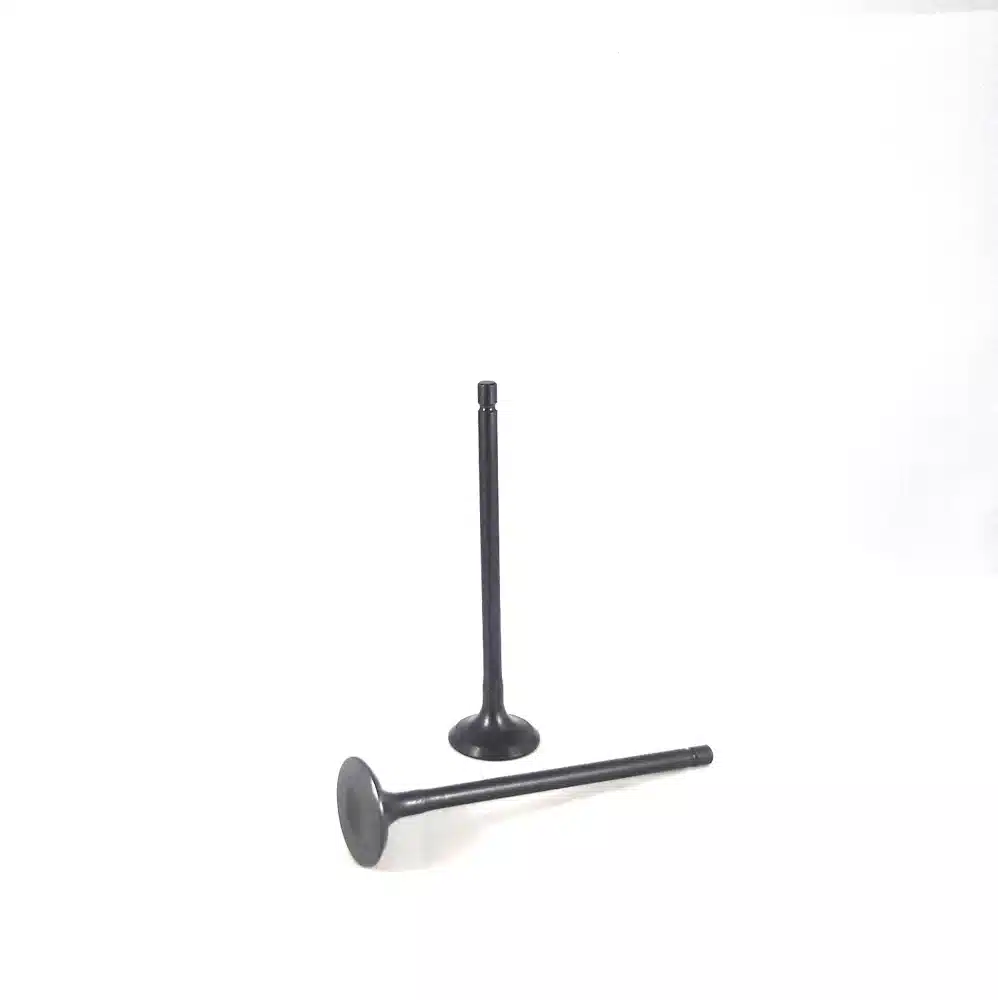 G.M. L4, 1498 C.C. (1.5 LTS), DOHC, 16 VALVE, L2B MPFI CAVALIER / AVEO /  4685-EN